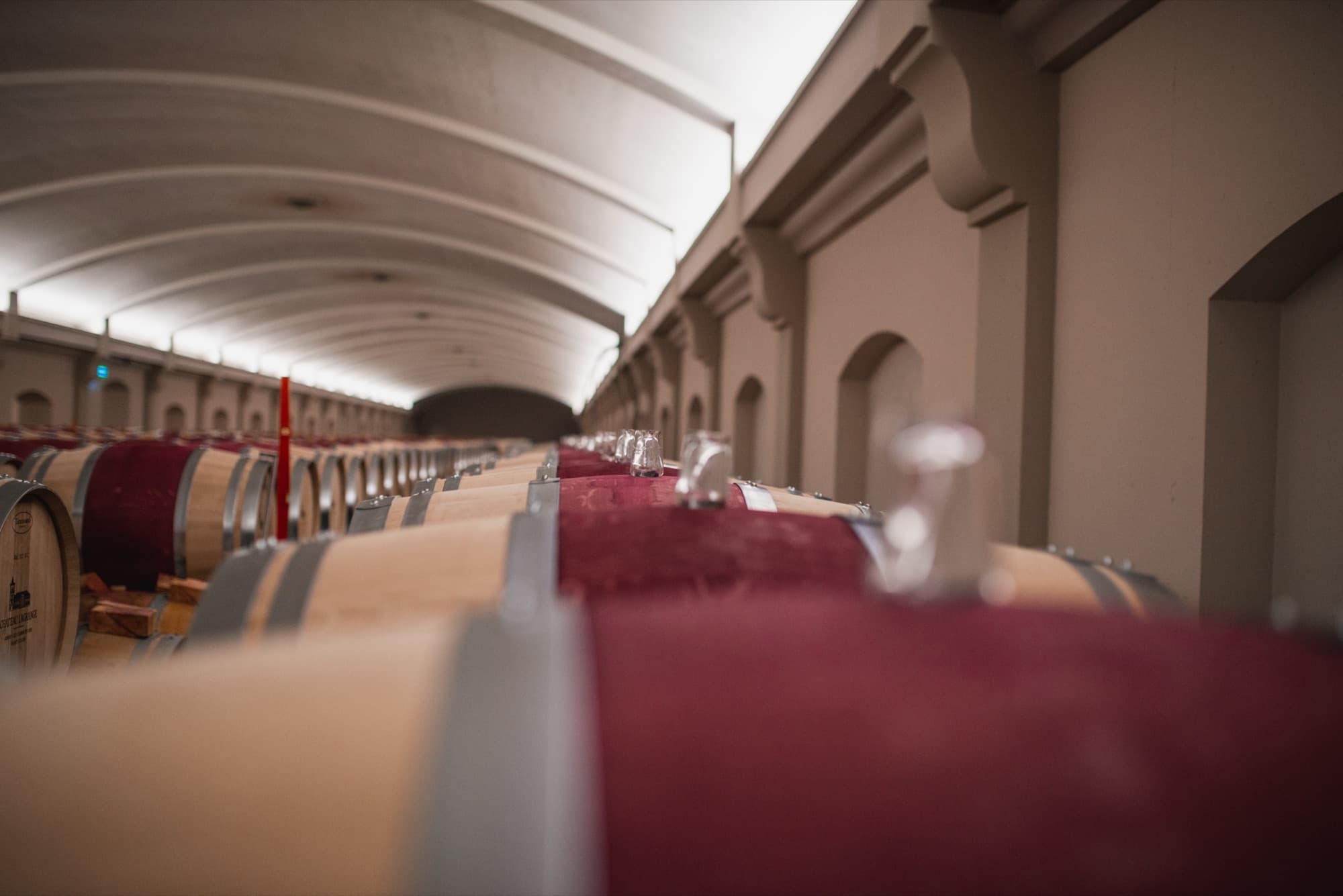 Luxury Wine Tours in Bordeaux: A New Era with Rustic Vines