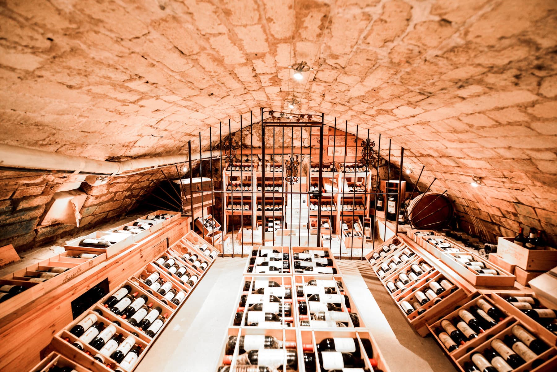 What Is Véraison? The Complete Guide to Bordeaux's Most Beautiful Vineyard Season